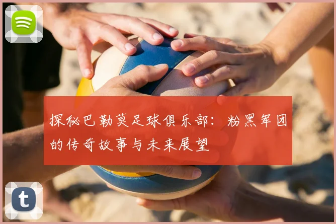探秘巴勒莫足球俱乐部:粉黑军团的传奇故事与未来展望