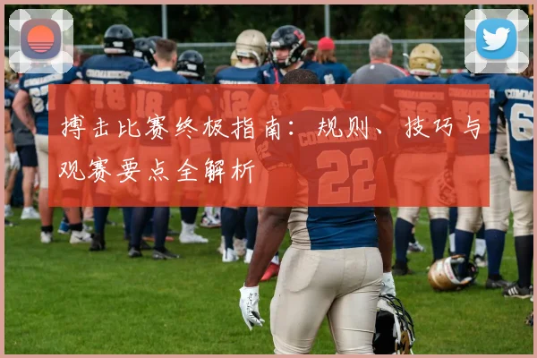 搏击比赛终极指南:规则、技巧与观赛要点全解析